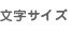 文字サイズ